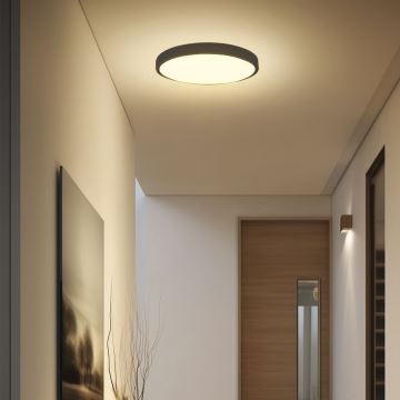 LED Kúpeľňové stropné svietidlo LED/18W/230V IP44 3000K pr. 25 cm čierna