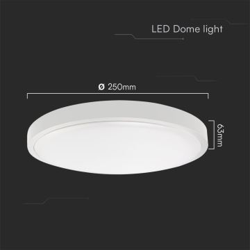 LED Kúpeľňové stropné svietidlo LED/18W/230V IP44 6500K pr. 25 cm biela