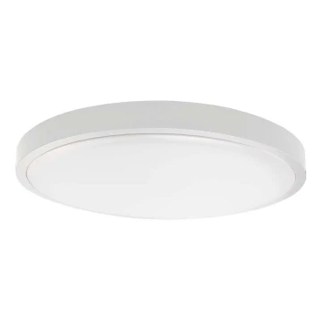 LED Kúpeľňové stropné svietidlo LED/24W/230V 6500K IP44 biela