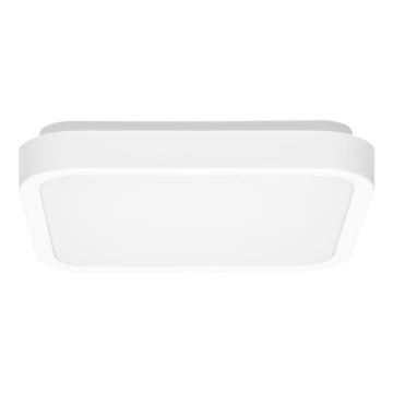 LED Kúpeľňové stropné svietidlo LUKY LED/12W/230V 4000K 25x25 cm IP44 biela