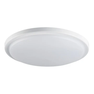 LED Kúpeľnové stropné svietidlo ORTE LED/24W/230V IP54