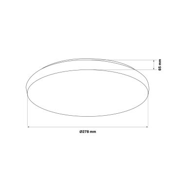 LED Kúpeľňové stropné svietidlo PIRIUS LED/12W/230V pr. 28 cm IP44