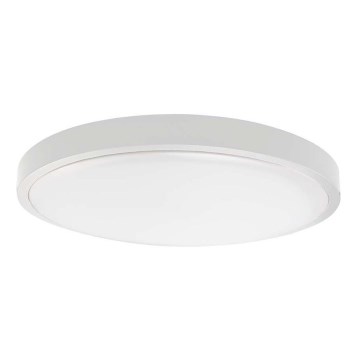 LED Kúpeľňové stropné svietidlo SAMSUNG CHIP LED/36W/230V IP44 6500K pr. 35 cm biela