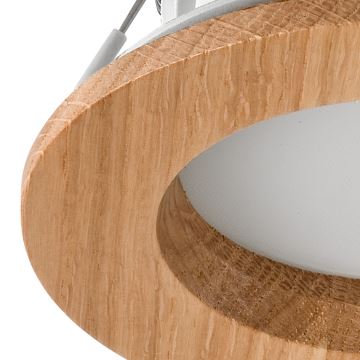 LED Podhľadové svietidlo WOODY SPOT LED/5,5W/230V 4000K dub ø 10 cm