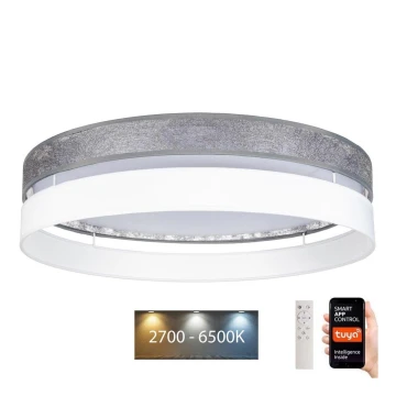 LED Stmievateľné stropné svietidlo LIMA LED/36W/230V 2700-6500K Wi-Fi Tuya + diaľkové ovládanie strieborná/biela