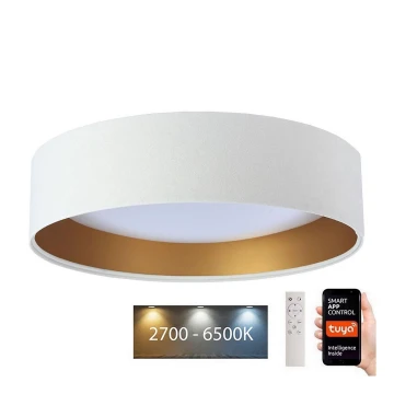 LED Stmievateľné stropné svietidlo SMART GALAXY LED/36W/230V pr. 55 cm 2700-6500K Wi-Fi Tuya biela/zlatá + diaľkové ovládanie