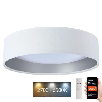 LED Stmievateľné stropné svietidlo SMART GALAXY LED/36W/230V pr. 55 cm Wi-Fi Tuya biela/strieborná + diaľkové ovládanie