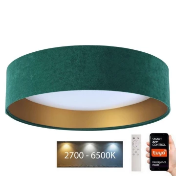 LED Stmievateľné stropné svietidlo SMART GALAXY LED/36W/230V pr. 55 cm Wi-Fi Tuya zelená/zlatá + diaľkové ovládanie