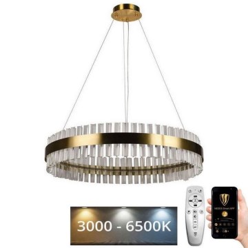 LED Stmievateľný krištáľový luster na lanku LED/55W/230V 3000-6500K + diaľkové ovládanie