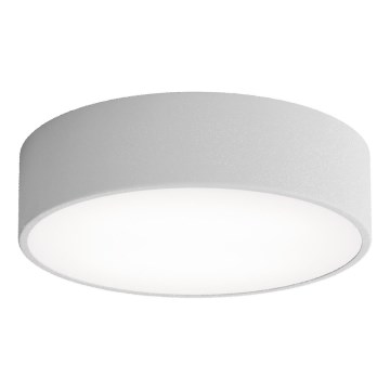 LED Stropné svietidlo CLEO LED/24W/230V 3000K pr. 30 cm šedá