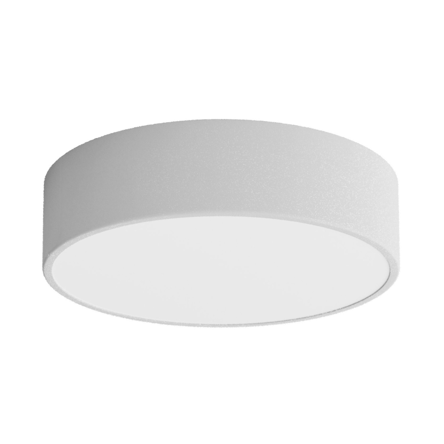 LED Stropné svietidlo CLEO LED/24W/230V 3000K pr. 30 cm šedá