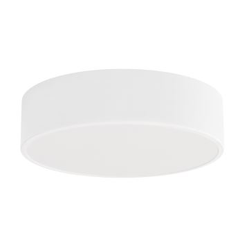 LED Stropné svietidlo CLEO LED/24W/230V 4000K pr. 30 cm biela