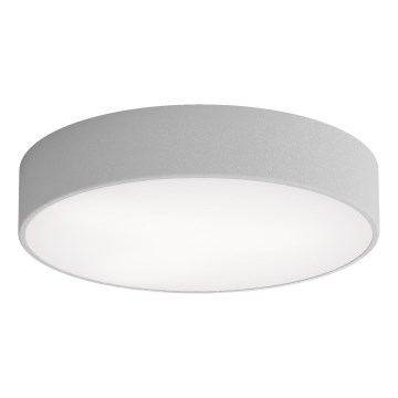 LED Stropné svietidlo CLEO LED/43W/230V 4000K pr. 40 cm šedá