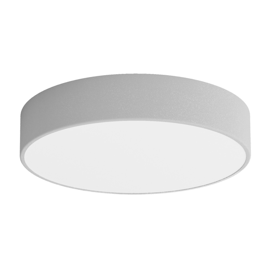 LED Stropné svietidlo CLEO LED/43W/230V 4000K pr. 40 cm šedá