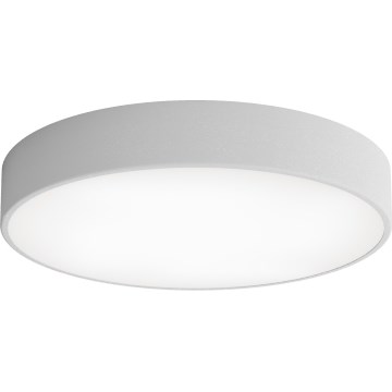 LED Stropné svietidlo CLEO LED/69W/230V 3000K pr. 50 cm šedá