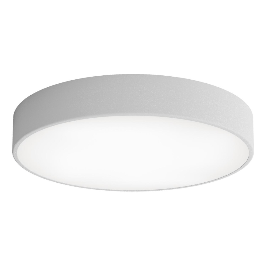 LED Stropné svietidlo CLEO LED/69W/230V 3000K pr. 50 cm šedá