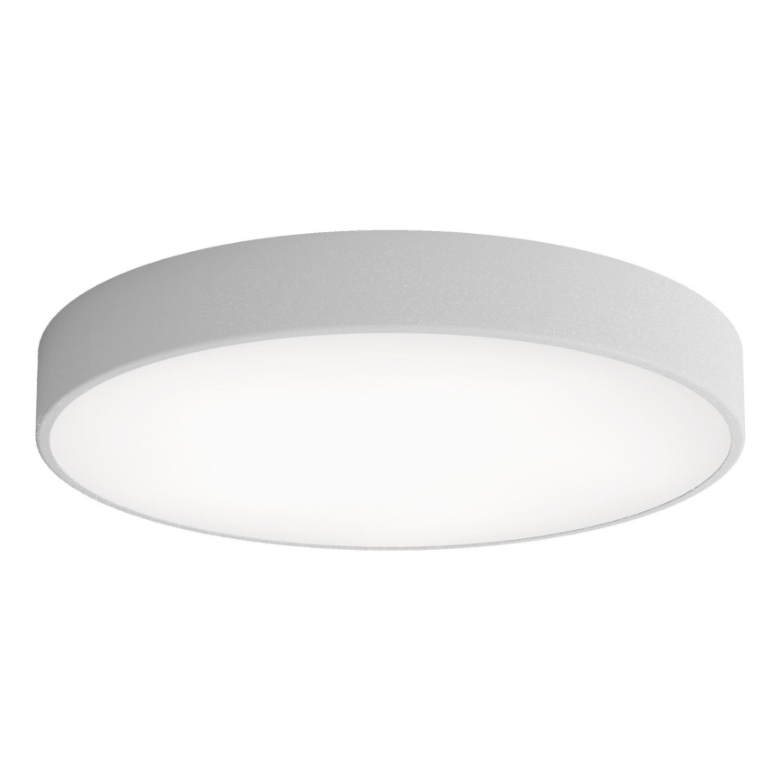 LED Stropné svietidlo CLEO LED/69W/230V 3000K pr. 60 cm šedá