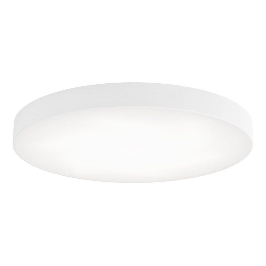 LED Stropné svietidlo CLEO LED/96W/230V 3000K pr. 80 cm biela