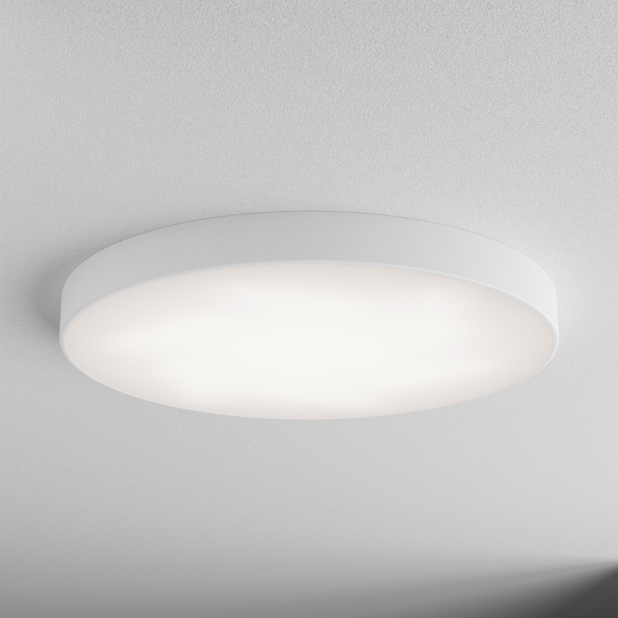 LED Stropné svietidlo CLEO LED/96W/230V 3000K pr. 80 cm biela