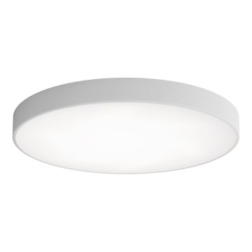 LED Stropné svietidlo CLEO LED/96W/230V 3000K pr. 80 cm šedá