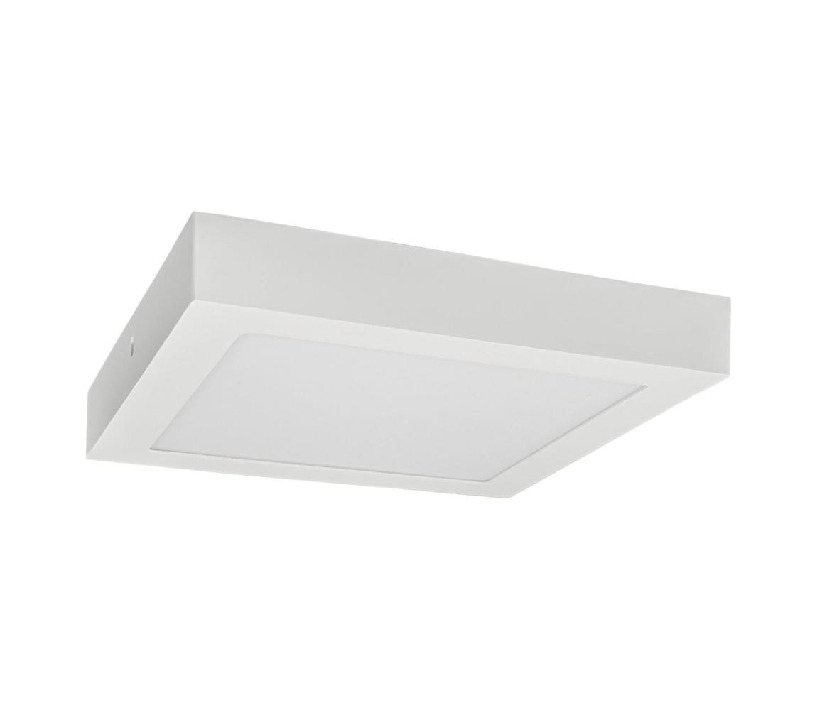 Greenlux LED Stropné svietidlo FENIX LED/12W/230V 2800K 17 cm 