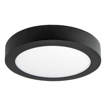 LED Stropné svietidlo FENIX LED/12W/230V 3800K  pr. 17 cm