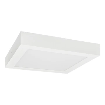 LED Stropné svietidlo FENIX LED/18W/230V 3800K 22,5 cm snehovo biela