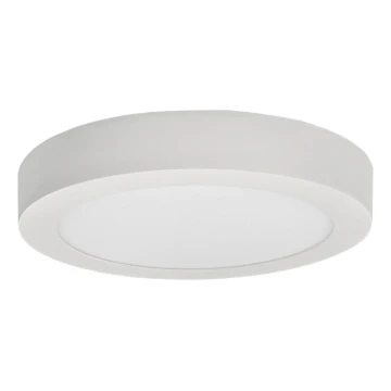 LED Stropné svietidlo FENIX LED/18W/230V 3800K pr. 22,5 cm