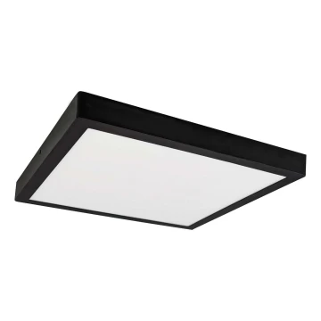 LED Stropné svietidlo FENIX LED/32W/230V 3800K 40 cm