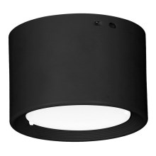 LED Stropné svietidlo LED/10W/230V čierna pr. 10 cm