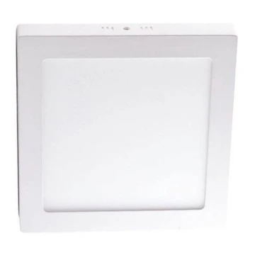 LED Stropné svietidlo LED/12W/230V 4000K 17,2x17,2 cm