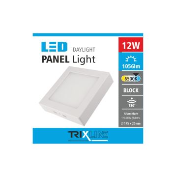 LED Stropné svietidlo LED/12W/230V 6500K