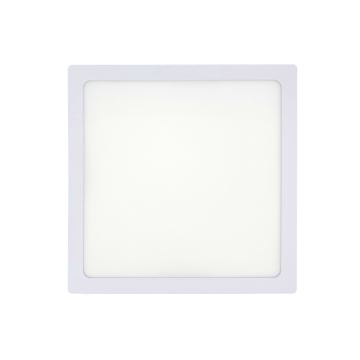 LED Stropné svietidlo LED/18W/230V 2700K