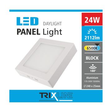 LED Stropné svietidlo LED/24W/230V 6500K