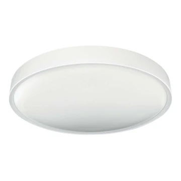 LED Stropné svietidlo SAMER LED/32W/230V 4000K