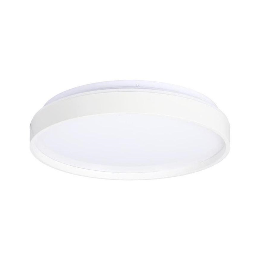 LED Stropné svietidlo TEXAS LED/15W/230V biela