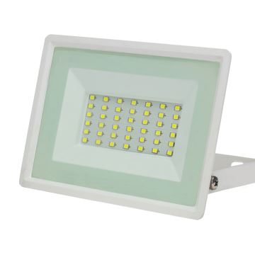 LED Vonkajší reflektor NOCTIS LUX 3 LED/30W/230V 4000K IP65 biela