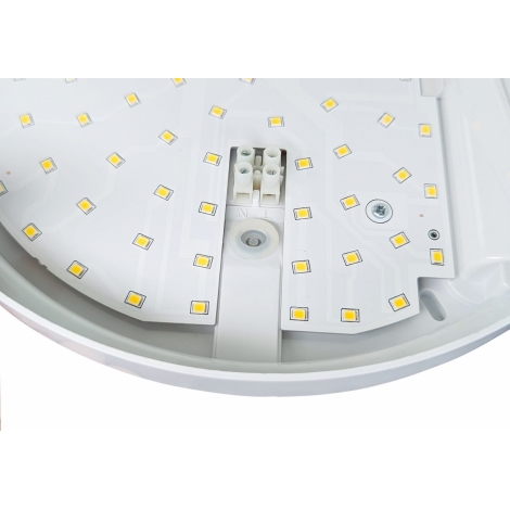 LED Vonkajšie nástenné svietidlo so senzorom HIBIS LED/15W/230V IP44