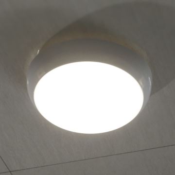 LED Vonkajšie stropné svietidlo so senzorom LED/8W/16W/20W/230V IP65 3000/4000/6500K