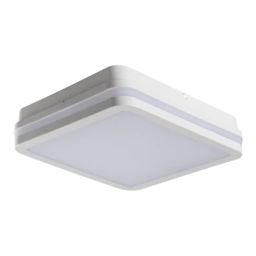 LED Vonkajšie svietidlo so senzorom BENO LED/24W/230V 4000K biela IP54