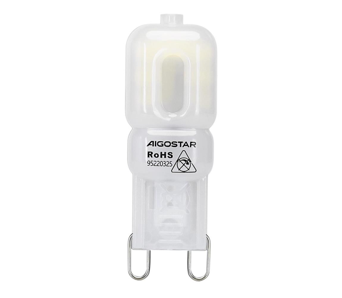  B.V. LED Žiarovka G9/2W/230V 6500K -  