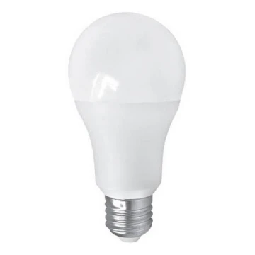 LED Žiarovka PITT A60 AC/DC E27/12W/24V 4000K