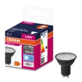 LED Žiarovka VALUE PAR16 GU10/6,9W/230V 6500K 36° čierna - Ledvance