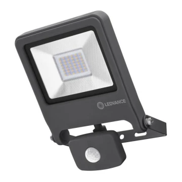 Ledvance - LED Reflektor ENDURA so senzorom LED/30W/230V IP44