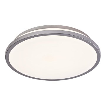 Ledvance - LED Stropné svietidlo ORBIS DUBLIN LED/16W/230V pr. 29,5 cm