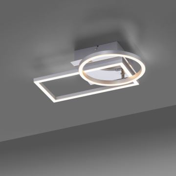 Leuchten Direkt 14031-55 - LED Stropné svietidlo IVEN LED/18W/230V