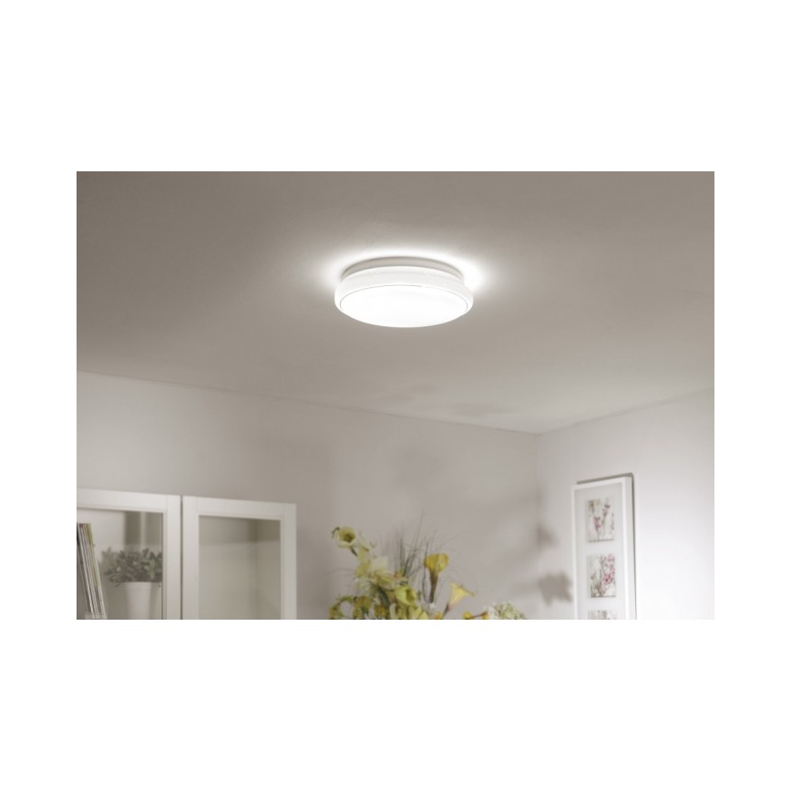 Leuchten Direkt 14362-16 - LED Stropné svietidlo JUPITER LED/17W/230V 3000/4000/5000K