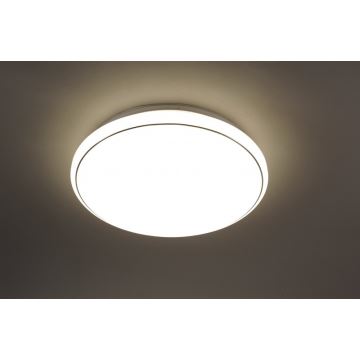 Leuchten Direkt 14364-16 - LED Stropné svietidlo JUPITER LED/32W/230V 3000/4000/5000K