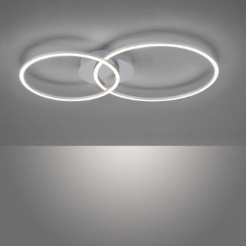 Leuchten Direkt 14537-55 - LED Stmievateľné stropné svietidlo IVANKA LED/14W/230V + LED/12W