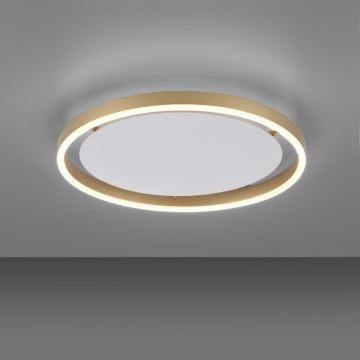 Leuchten Direkt 15392-60 - LED Stmievateľné stropné svietidlo RITUS LED/30W/230V  mosadz